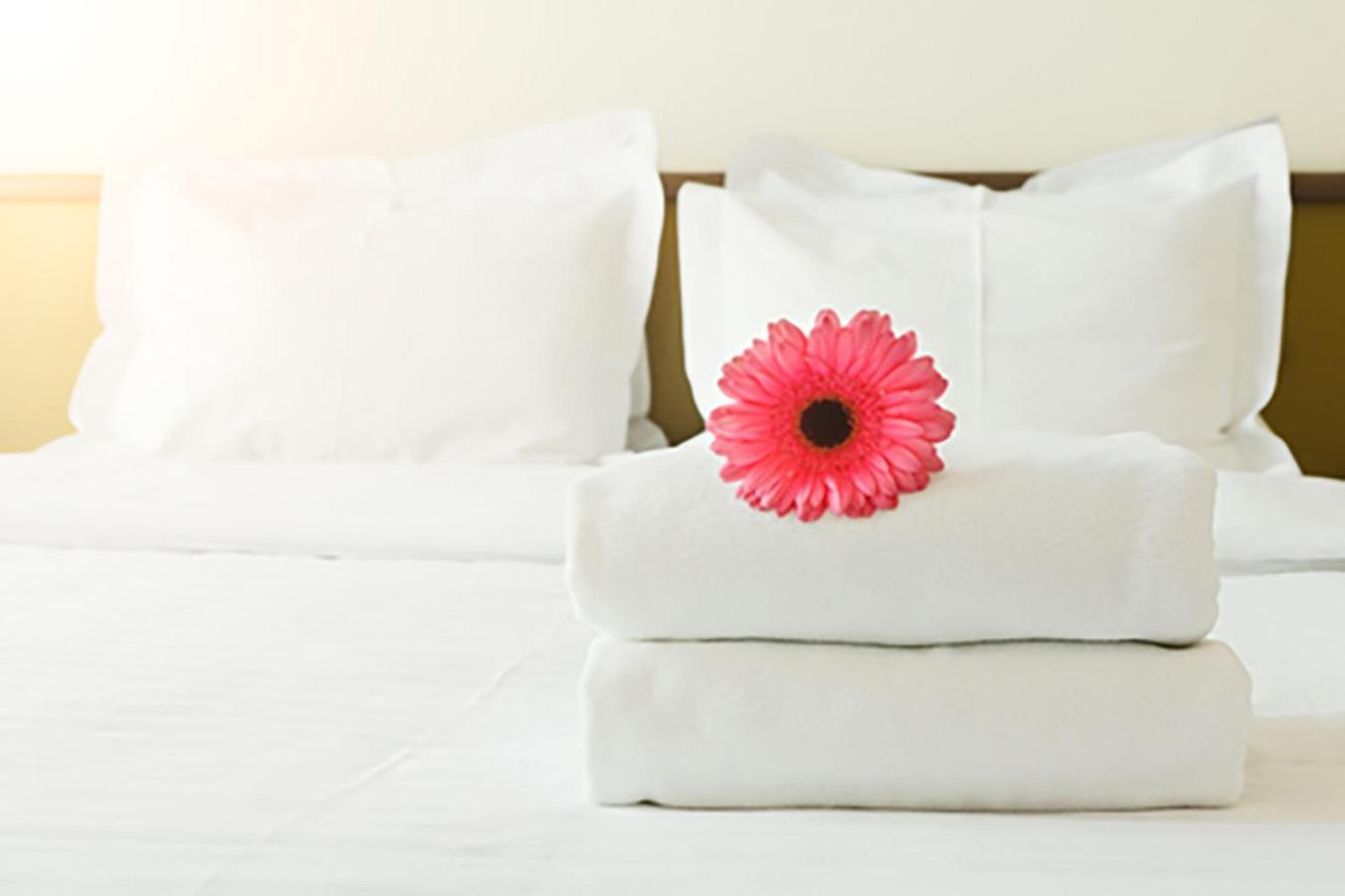 A San Lazzaro Rooms ซานลาซโซโร ดี ซาเวนา ภายนอก รูปภาพ